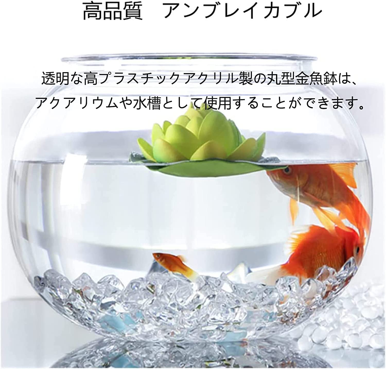 Amazon | 金魚鉢 プラスチック 猫 が 入る 金魚鉢 丸型金魚鉢 防爆